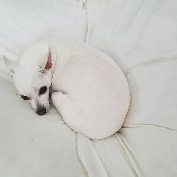 Meet your Seller Sandy 🐈⬛ - Picture 7 of 16